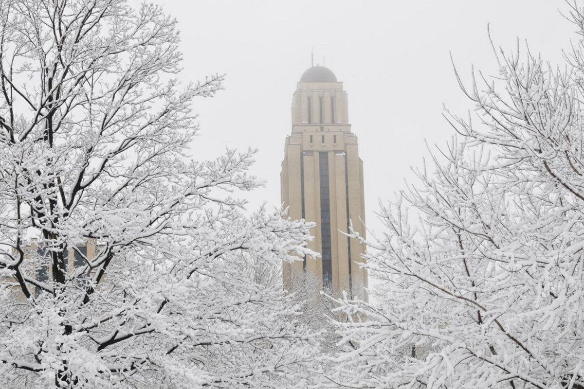Tour et arbres sous la neige.