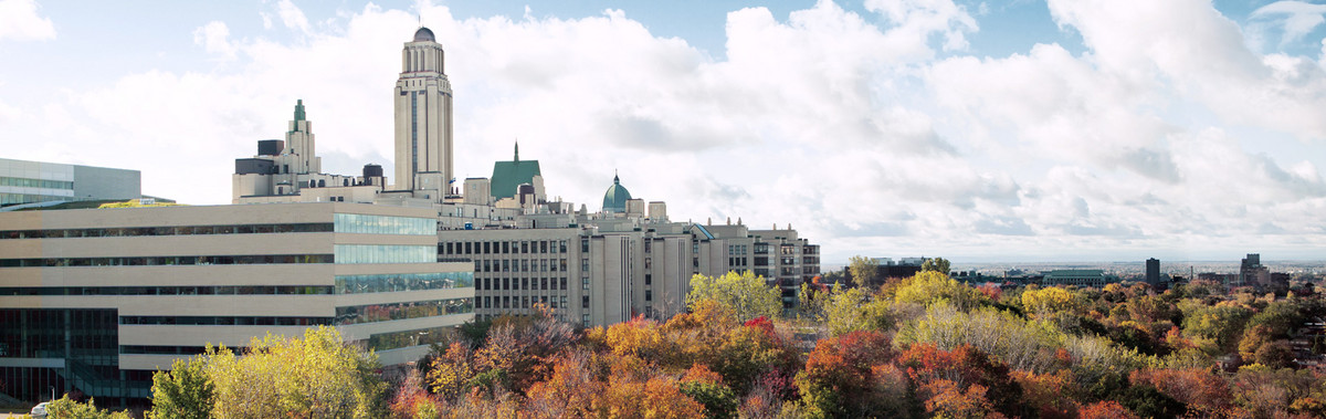Vue de l'UdeM et de la montagne en automne.