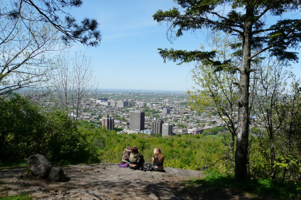Sommet d'un parc du mont Royal.