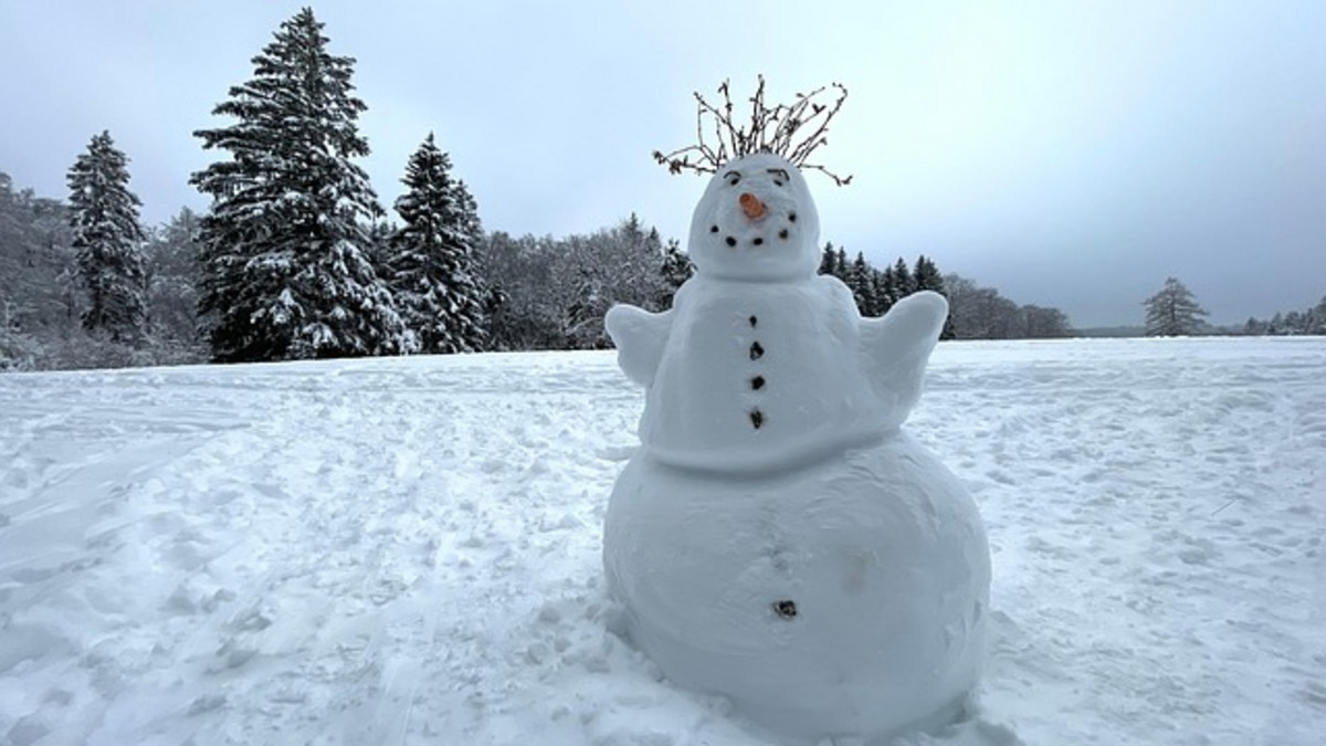 Bonhomme de neige.